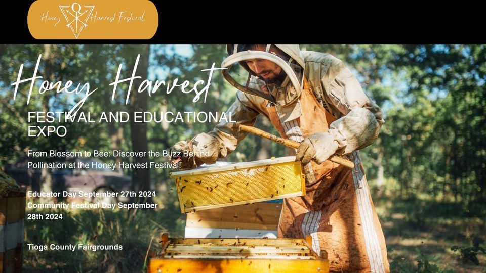 honey-harvest