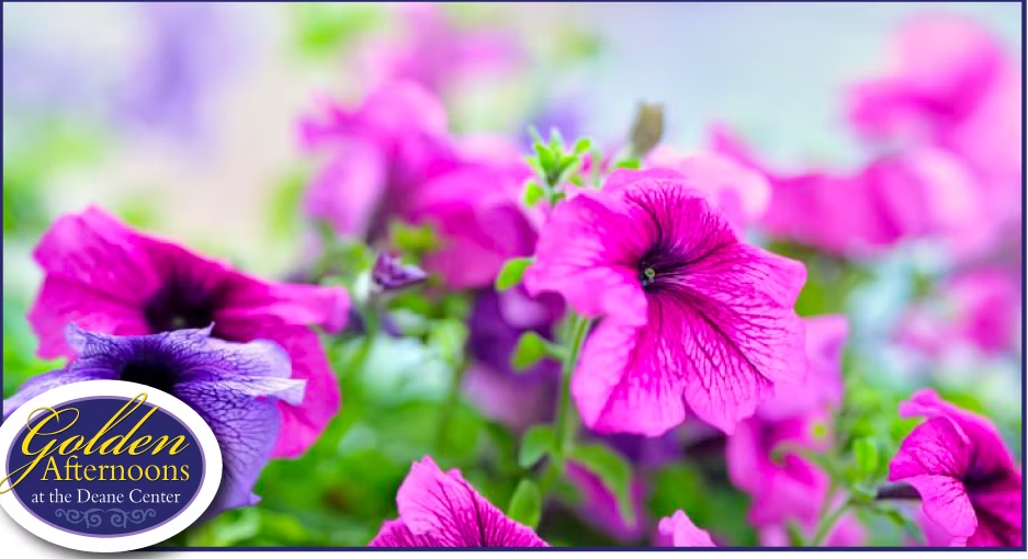 Screenshot 2026-04-01 083313